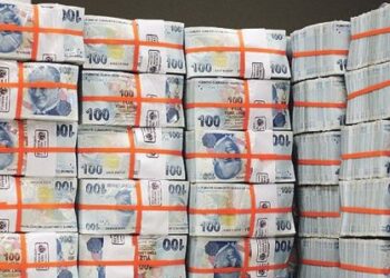 Örtülü Ödenek Nedir?