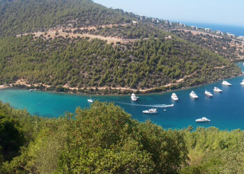 Bodrum Cennet Bay in the blue and greenery of the magnificent sea where yachts anchor