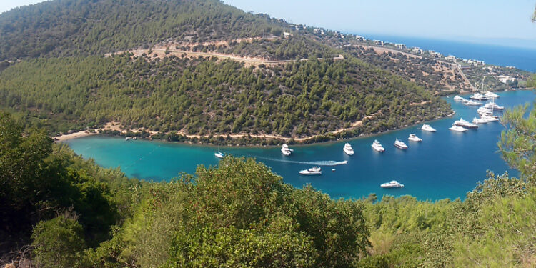 Bodrum Cennet Bay in the blue and greenery of the magnificent sea where yachts anchor